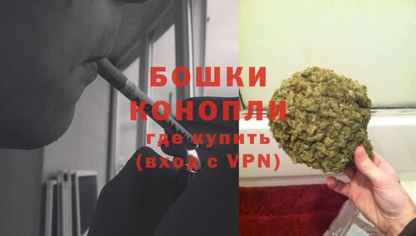 прущие крисы Аркадак