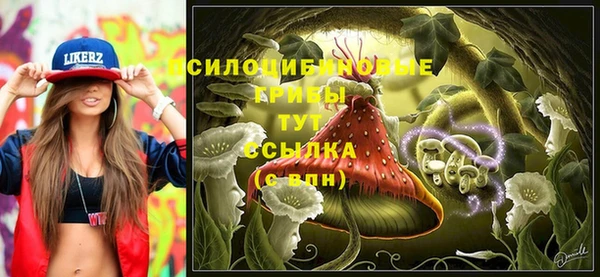 прущие крисы Аркадак