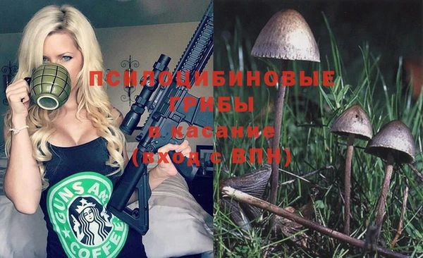 прущие крисы Аркадак