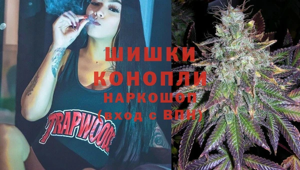 прущие крисы Аркадак
