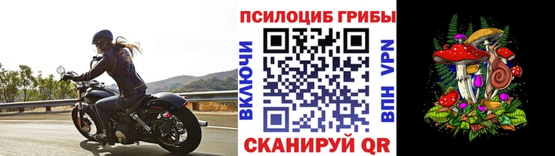 купить закладку  Голицыно  Псилоцибиновые грибы Psilocybe 