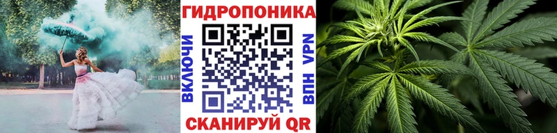 Бошки марихуана OG Kush  Голицыно 